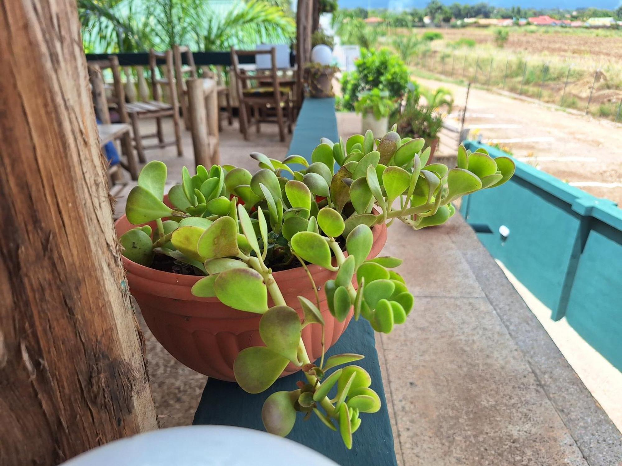 Hill View Garden Hotel Moshi Luaran gambar